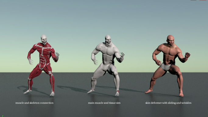 Houdini Otis Muscle RnD CFX